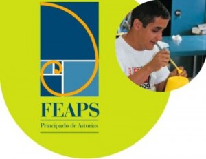 FEAPS Madrid curso de formación discapacidad intelectual 